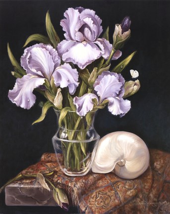 Framed Purple Iris with Shell Print