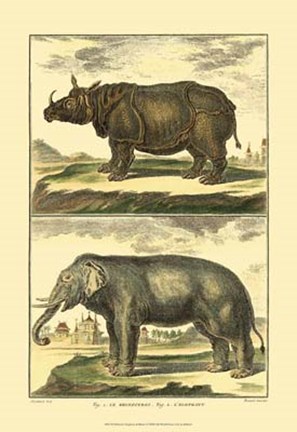 Framed Elephant and Rhino Print
