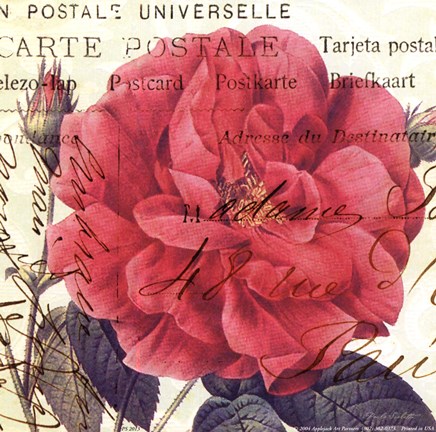 Framed Carte Postale Rose I Print