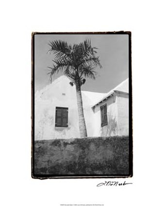 Framed Bermuda Shade Print