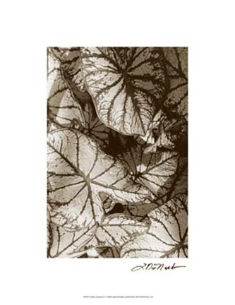 Framed Garden Textures IV Print