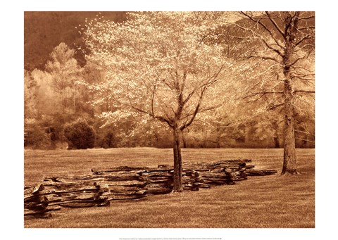 Framed Smokies Fence Print