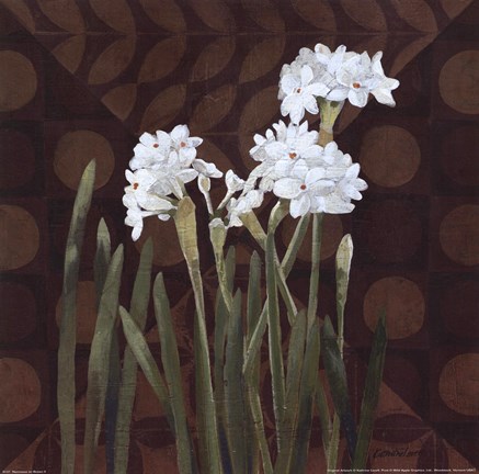 Framed Narcissus on Brown II Print