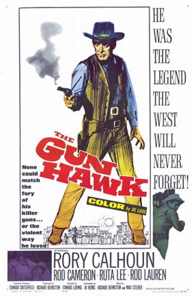 Framed Gun Hawk Print