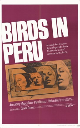 Framed Birds in Peru Print