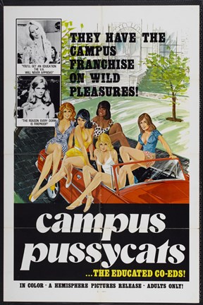 Framed Campus Pussycats Print