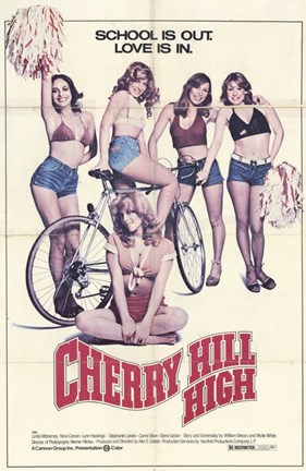 Framed Cherry Hill High Print