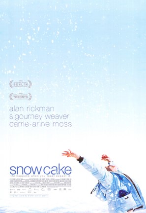 Framed Snow Cake Print