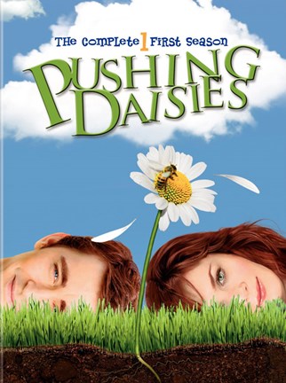 Framed Pushing Daisies 1st Season Print