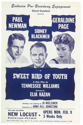 Framed Sweet Bird Of Youth (Broadway) Print