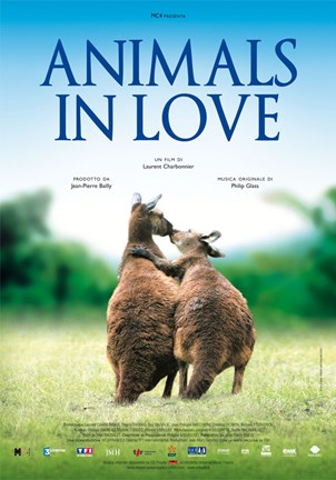 Framed Animals in Love Print