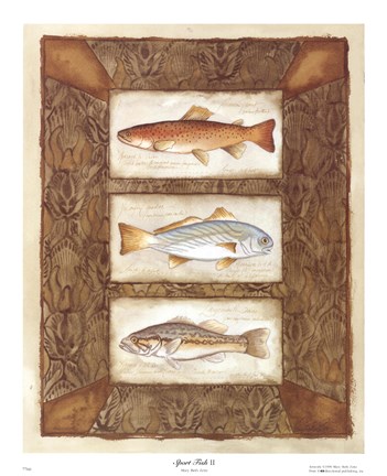 Framed Sport Fish II Print