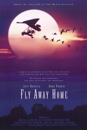 Framed Fly Away Home Print