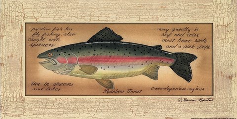 Framed Rainbow Trout Print