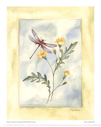 Framed Dragonfly With Yellow Flowers Print