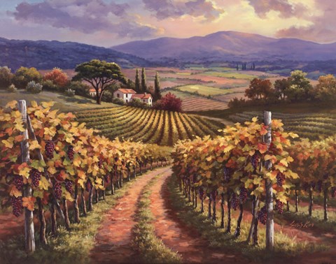 Framed Vineyard Hill I Print