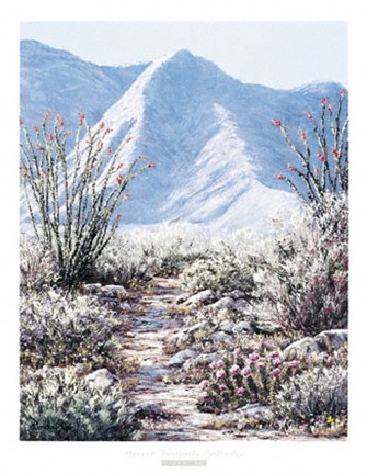 Framed Desert Foothills Splendor Print