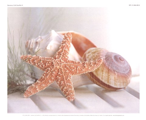 Framed Cali Starfish II Print