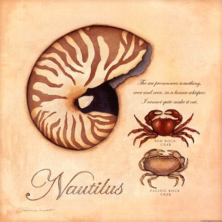 Framed Nautilus - square Print