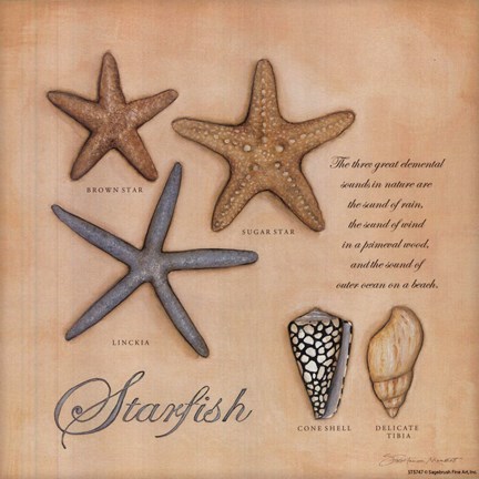 Framed Starfish Brown Sugar &amp; Linceria Print
