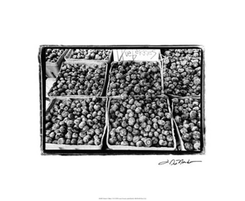 Framed Farmer&#39;s Market VI Print