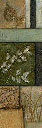 Framed Elements of Nature II Print