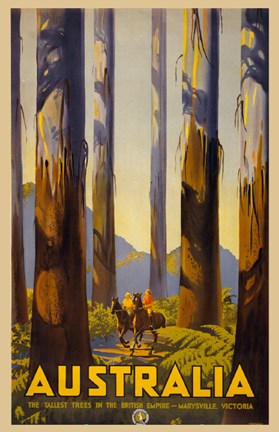 Framed Australia - Tallest Trees Print