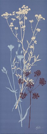 Framed Teal Meadow Flower Print
