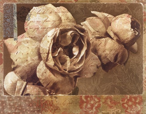 Framed Gypsy Rose Print