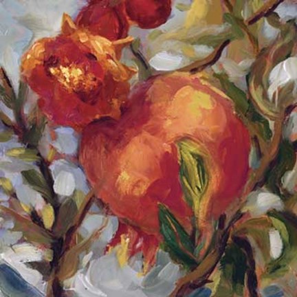 Framed Seasonal Pomegranate II Print