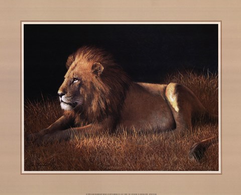 Framed Lying Lion Print