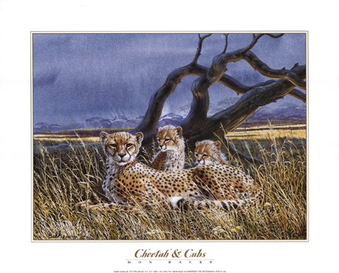 Framed Cheetah and Cubs Print