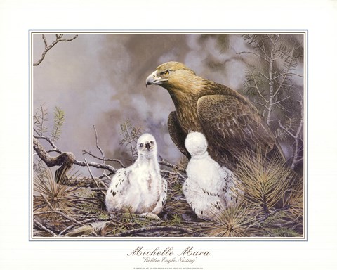 Framed Golden Eagle Nesting Print