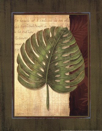 Framed Palm Tropical IV - grande Print