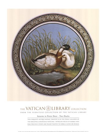 Framed Two Ducks, (The Vatican Collection) Print