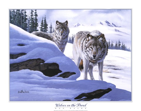Framed Wolves on the Prowl Print