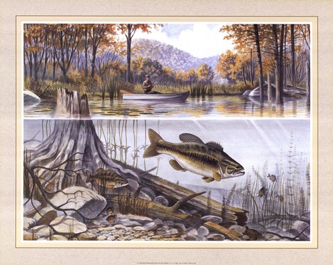 Framed Trout Underwater Print