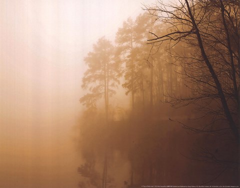 Framed Fog on Shelly Lake I Print