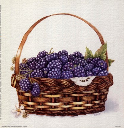 Framed Basket Of Blackberries Print