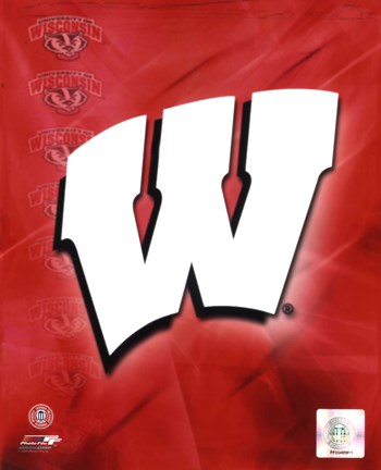 Framed 2009 University of Wisconsin Badgers Team Logo Print