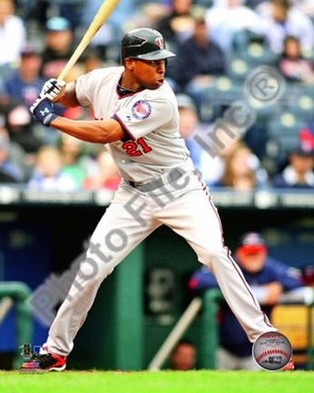 Framed Delmon Young 2010 Action Print
