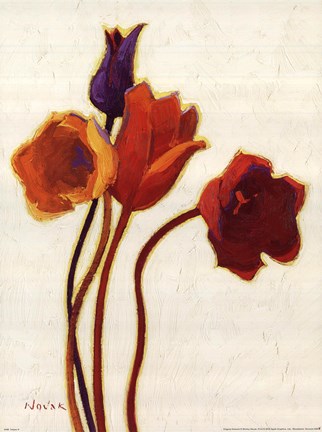 Framed Tulipan II Print