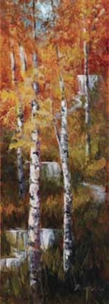 Framed Autumn Birch Falls Print
