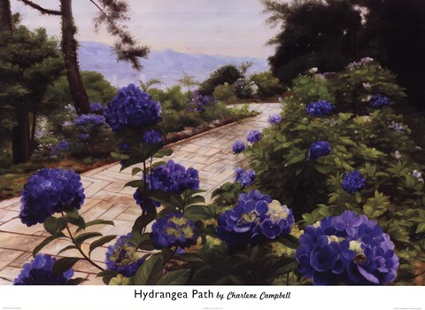 Framed Hydrangea Path Print
