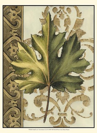 Framed Small Leaf Assortment I (U) Print