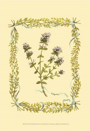 Framed Thyme Print