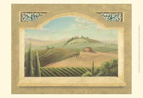 Framed Vineyard Window III Print