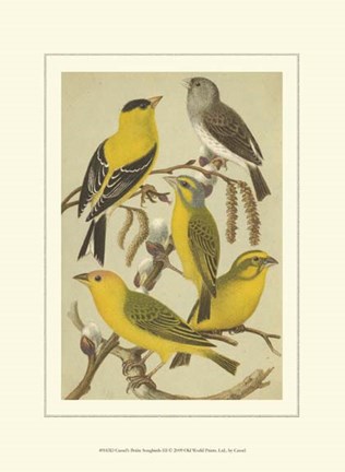Framed Cassel&#39;s Petite Songbirds III Print