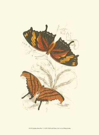 Framed Butterflies V Print