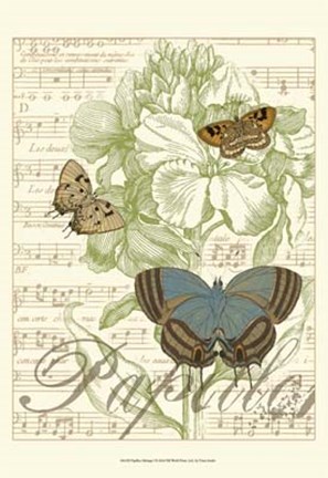 Framed Papillon Melange I Print
